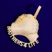 Iced Out Brothers For Life Pendant